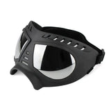 Lunette Masque Moto Aviateur pour Chien Noir - Teinte Grise