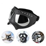 Lunette Masque Moto Aviateur pour Chien