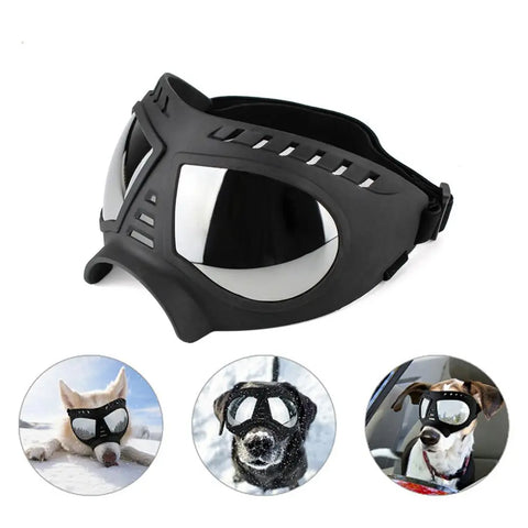 Lunette Masque Moto<br> Aviateur pour Chien