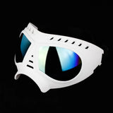 Lunette Masque Moto Aviateur pour Chien Blanc