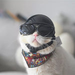 Kit Casque Moto pour Chat